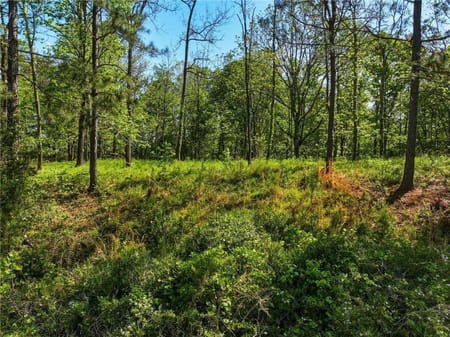 Dahlonega, GA 30533 Lumpkin County