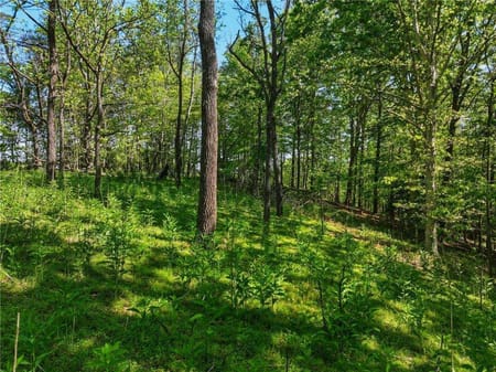 Dahlonega, GA 30533 Lumpkin County