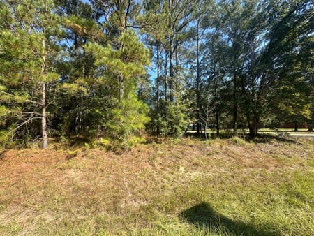 Sylvania, GA 30467 Screven County