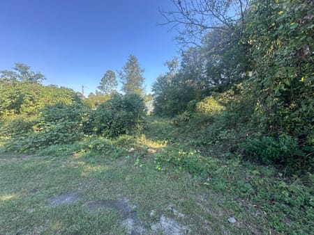 Sylvania, GA 30467 Screven County