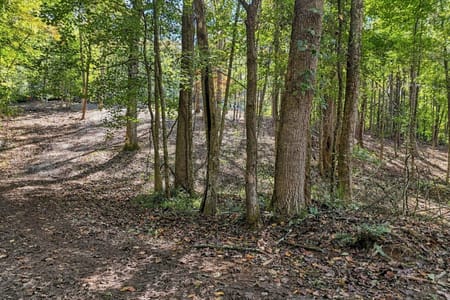 Blue Ridge, GA 30513 Gilmer County