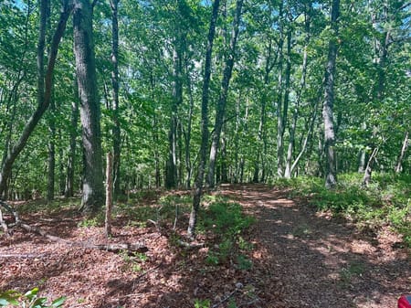 Dawsonville, GA 30534 Lumpkin County