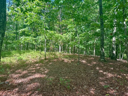 Dawsonville, GA 30534 Lumpkin County
