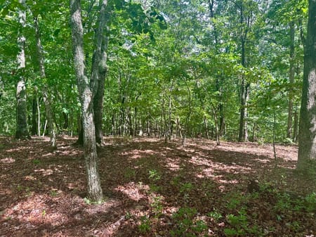 Dawsonville, GA 30534 Lumpkin County