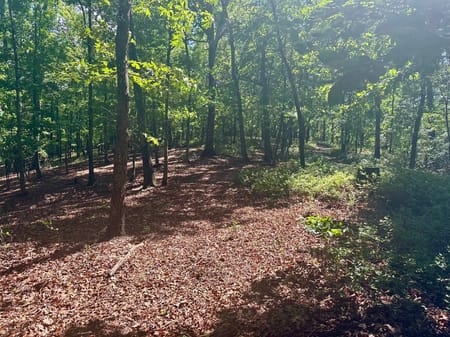 Dawsonville, GA 30534 Lumpkin County