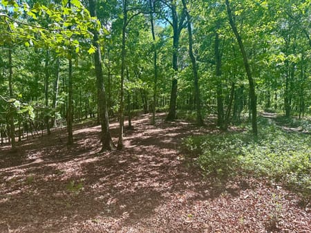 Dawsonville, GA 30534 Lumpkin County