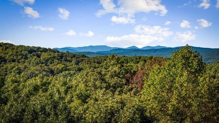Morganton, GA 30560 Fannin County