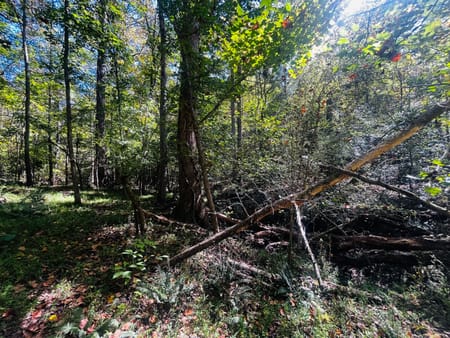 Baldwin, GA 30511 Banks County