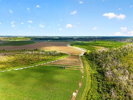 Nicholls, GA 31554 Coffee County