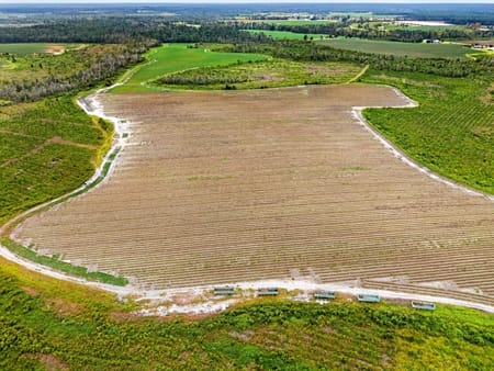 Nicholls, GA 31554 Coffee County