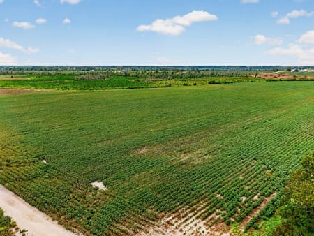 Nicholls, GA 31554 Coffee County