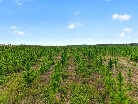 Nicholls, GA 31554 Coffee County