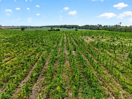 Nicholls, GA 31554 Coffee County