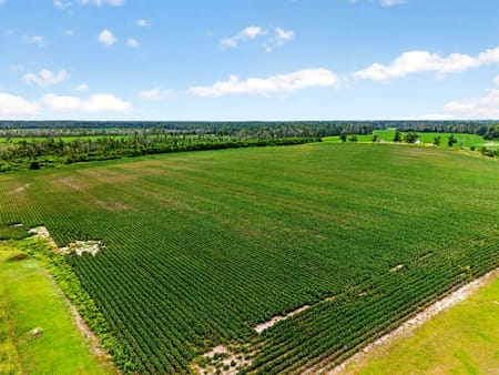 Nicholls, GA 31554 Coffee County