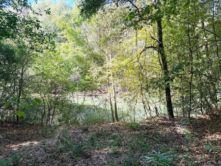 Jackson, GA 30233 Monroe County