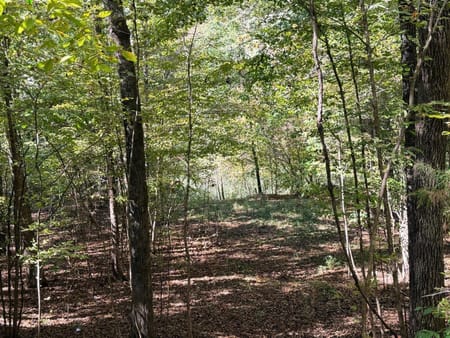 Jackson, GA 30233 Monroe County