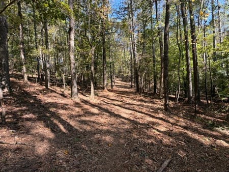 Ball Ground, GA 30107 Cherokee County
