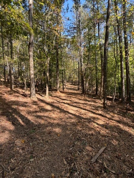 Ball Ground, GA 30107 Cherokee County