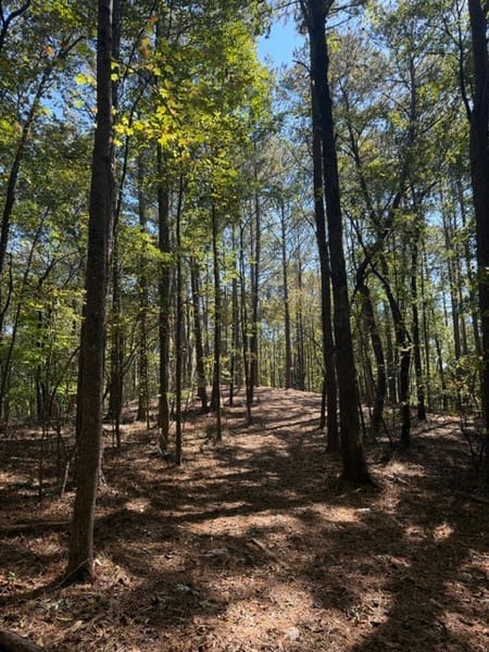 Ball Ground, GA 30107 Cherokee County