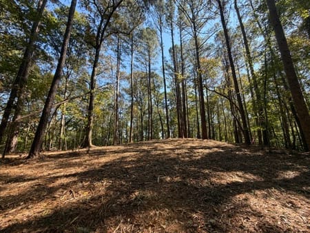 Ball Ground, GA 30107 Cherokee County