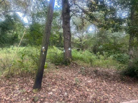 Manchester, GA 31816 Meriwether County