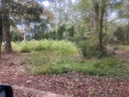 Manchester, GA 31816 Meriwether County
