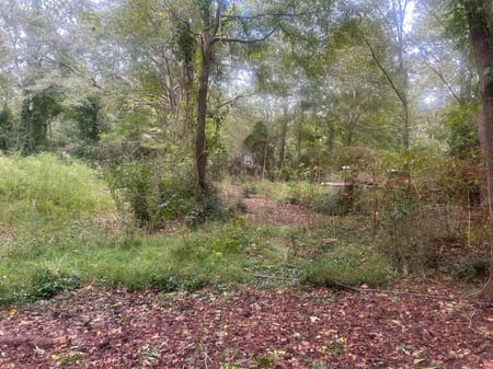 Manchester, GA 31816 Meriwether County