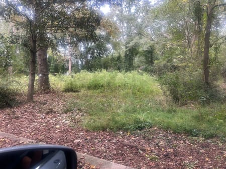 Manchester, GA 31816 Meriwether County