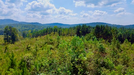 Talking Rock, GA 30175 Gilmer County
