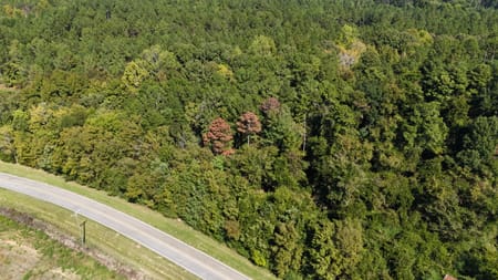 Elberton, GA 30635 Elbert County