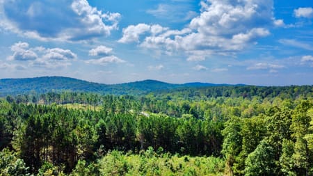 Talking Rock, GA 30175 Gilmer County