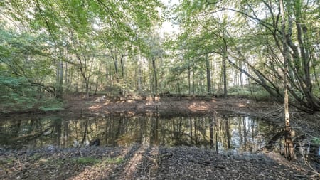 Tallapoosa, GA 30176 Haralson County
