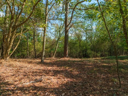 Ball Ground, GA 30107 Cherokee County
