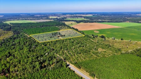 Climax, GA 39834 Decatur County