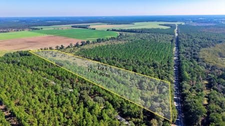 Climax, GA 39834 Decatur County