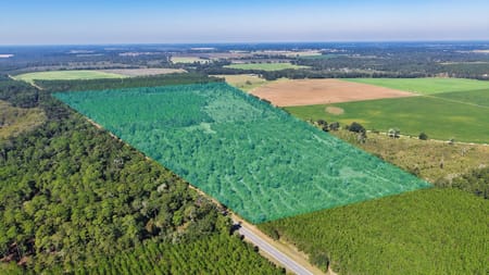 Climax, GA 39834 Decatur County