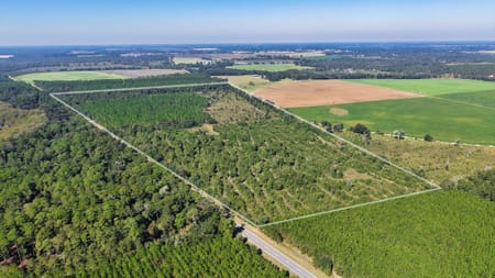 Climax, GA 39834 Decatur County