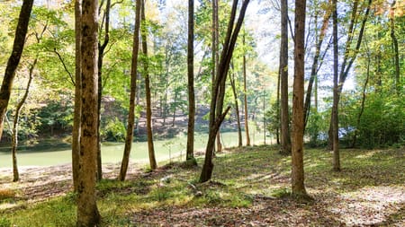 Cleveland, GA 30528 White County