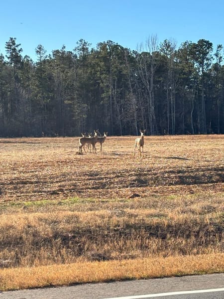 Monroe, GA 30655 Walton County