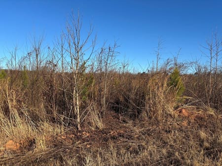 Monroe, GA 30655 Walton County