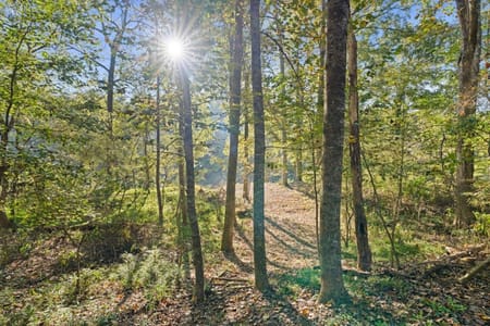 Suwanee, GA 30024 Forsyth County