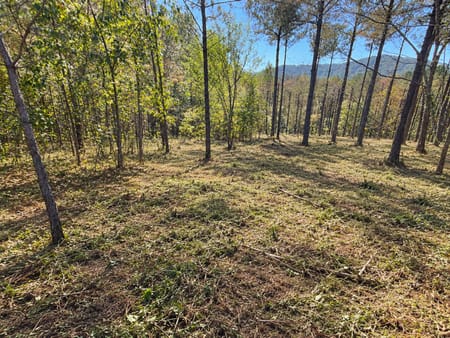Ellijay, GA 30536 Gilmer County