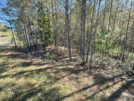 Ellijay, GA 30536 Gilmer County
