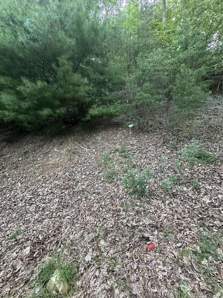 Morganton, GA 30560 Fannin County