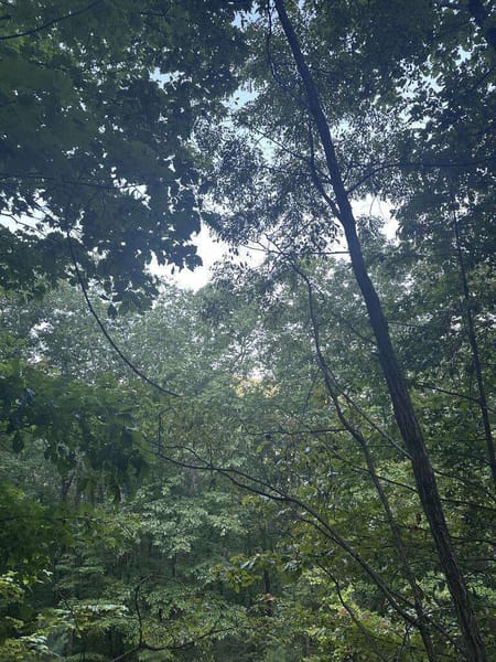 Morganton, GA 30560 Fannin County