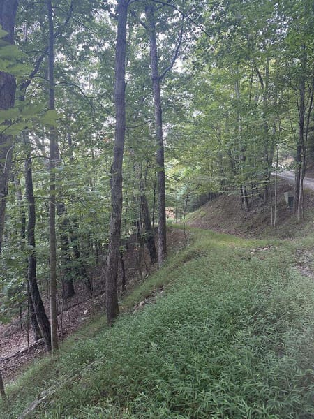 Morganton, GA 30560 Fannin County