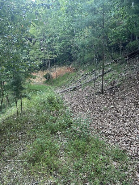 Morganton, GA 30560 Fannin County