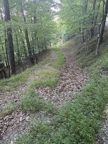 Morganton, GA 30560 Fannin County