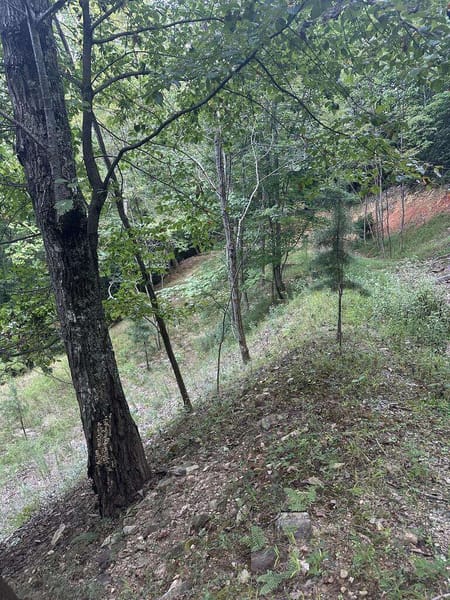 Morganton, GA 30560 Fannin County