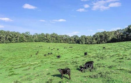 Mount Airy, GA 30563 Habersham County